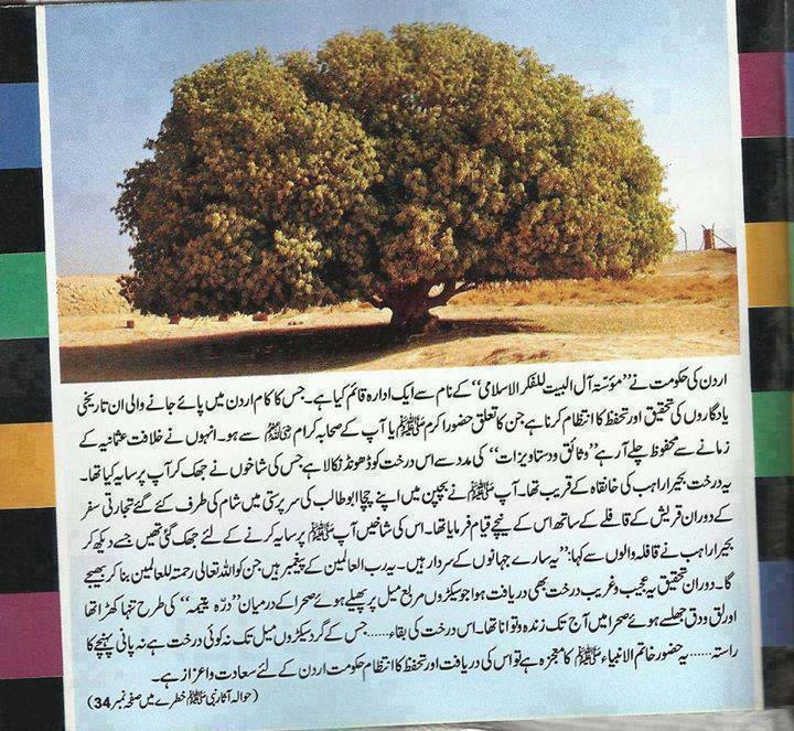 (32° 3'58.06"N 37° 8'51.87"E )))اگر آپ گوگل ارتھ استعمال کرتے ہیں تو گوگل ارتھ کے سرچ بار میں جا کر مندرجہ ذیل ھندسے لکھیئ
